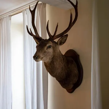 A Nouste D'hotes Et Maison d'hôtes 4*