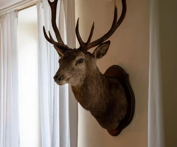 A Nouste D'hotes Et Maison d'hôtes 4*